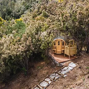 El Pino Centenario 3 Con Sauna La Orotava